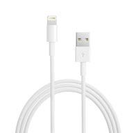 Apple Lightning to USB Cable 2M