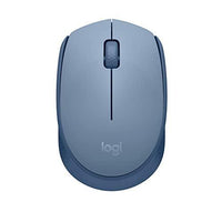 LOGITECH M170 WIRELESS MOUSE, GRAY,SILVER