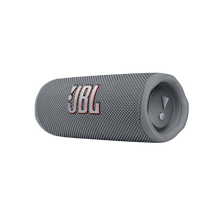 JBL Flip 6 Waterproof Bluetooth Speaker Grey,Caribbean