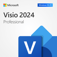 MICROSOFT VISIO PROFESSIONAL 2024 FOR 1 DEVICE WINDOWS OS-BIND TO EMAIL DIGITAL DELIVERY, N A