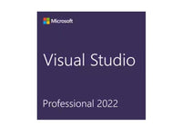 MICROSOFT VISUAL STUDIO PROFESSIONAL 2022, N A